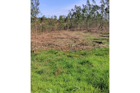 Helårsgrund i Pedroso, Porto, Pedroso - € 78.000 | Ref: GC1444 - foto 4