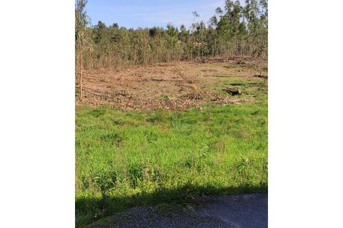 Helårsgrund i Pedroso, Porto, Pedroso - € 78.000 | Ref: GC1444 - foto 5