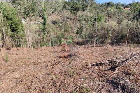 Helårsgrund i Pedroso, Porto, Pedroso - € 78.000 | Ref: GC1444 - foto 8