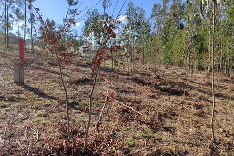 Helårsgrund i Pedroso, Porto, Pedroso - € 78.000 | Ref: GC1444 - foto 9