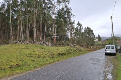 Helårsgrund i Arcos de Valdevez, Viana do Castelo, Arcos de Valdevez - € 62.500 | Ref: 2311 - foto 2