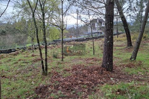 Helårsgrund i Arcos de Valdevez, Viana do Castelo, Arcos de Valdevez - € 62.500 | Ref: 2311 - foto 3