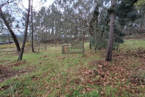 Helårsgrund i Arcos de Valdevez, Viana do Castelo, Arcos de Valdevez - € 62.500 | Ref: 2311 - foto 5