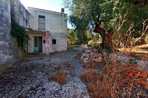 Landejendom i Cisternino, Brindisi, Cisternino - € 470.000 | Ref: CIANTO - foto 8