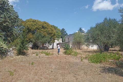 Landejendom i Cisternino, Brindisi, Cisternino - € 470.000 | Ref: CIANTO - foto 13