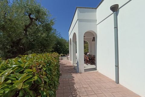 Villa i Monopoli, Bari, Monopoli - € 350.000 | Ref: 2T2 - foto 11