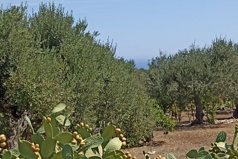 Villa i Monopoli, Bari, Monopoli - € 350.000 | Ref: 2T2 - foto 37