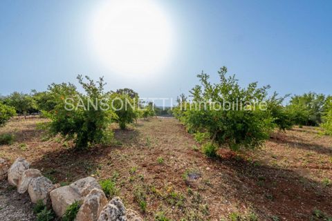 Landejendom i Cisternino, Brindisi, Cisternino - € 1.000.000 | Ref: MAMAPO - foto 31