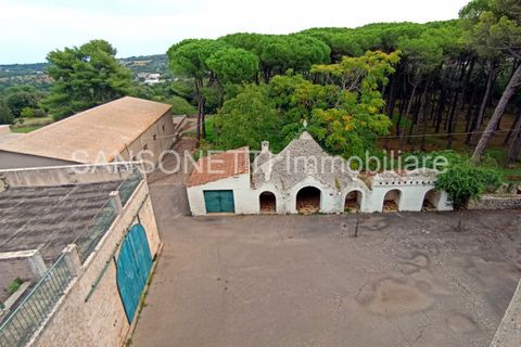 Villa i Noci, Bari, Noci - € 1.780.000 | Ref: NOCIN - foto 21