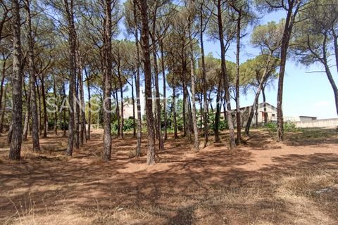 Villa i Noci, Bari, Noci - € 1.780.000 | Ref: NOCIN - foto 28