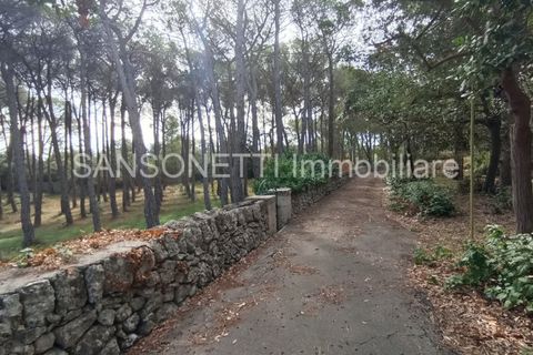 Villa i Noci, Bari, Noci - € 1.780.000 | Ref: NOCIN - foto 29