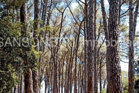 Villa i Noci, Bari, Noci - € 1.780.000 | Ref: NOCIN - foto 30