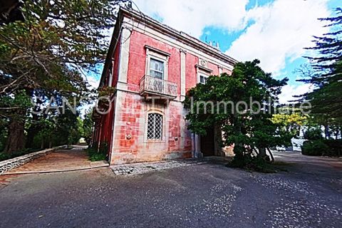 Villa i Noci, Bari, Noci - € 1.780.000 | Ref: NOCIN - foto 32