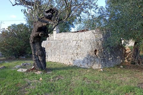 Landejendom i Ostuni, Brindisi, Ostuni - € 85.000 | Ref: STEMOS - foto 4