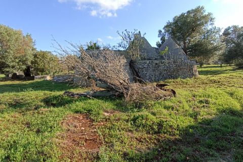 Landejendom i Ostuni, Brindisi, Ostuni - € 85.000 | Ref: STEMOS - foto 12