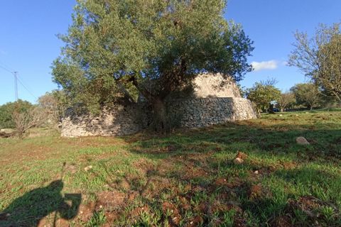 Landejendom i Ostuni, Brindisi, Ostuni - € 85.000 | Ref: STEMOS - foto 13