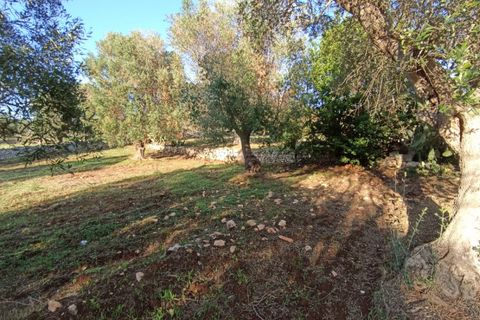 Landejendom i Ostuni, Brindisi, Ostuni - € 85.000 | Ref: STEMOS - foto 15
