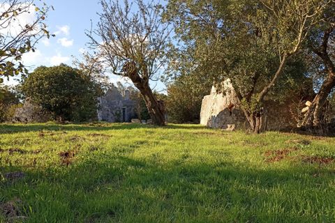 Landejendom i Ostuni, Brindisi, Ostuni - € 85.000 | Ref: STEMOS - foto 19
