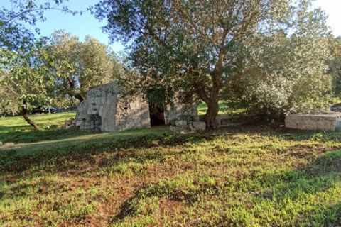Landejendom i Ostuni, Brindisi, Ostuni - € 85.000 | Ref: STEMOS - foto 20