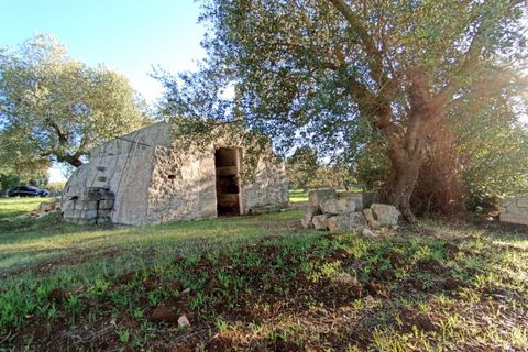 Landejendom i Ostuni, Brindisi, Ostuni - € 85.000 | Ref: STEMOS - foto 21