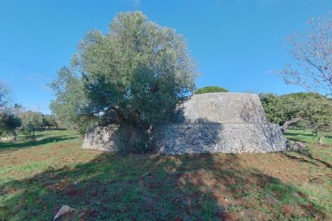Landejendom i Ostuni, Brindisi, Ostuni - € 85.000 | Ref: STEMOS - foto 41