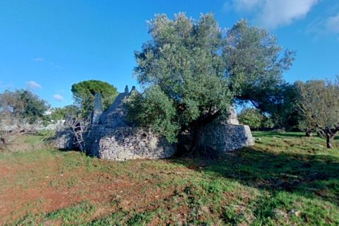 Landejendom i Ostuni, Brindisi, Ostuni - € 85.000 | Ref: STEMOS - foto 43