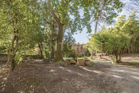 Villa a Cremona, Cremona, Cremona - € 3.300.000 | Ref: PC06032025 - foto 48
