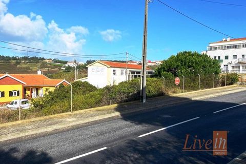 Helårsgrund i Mafra, Lisbon, Mafra - € 107.500 | Ref: 9466JO - foto 5