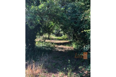 Villa i Alenquer, Lisbon, Alenquer - € 463.000 | Ref: 9558MV. - foto 5