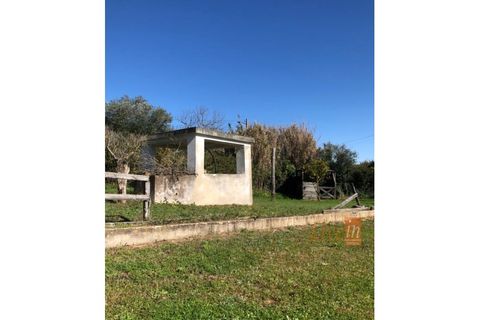 Villa i Alenquer, Lisbon, Alenquer - € 463.000 | Ref: 9558MV. - foto 13