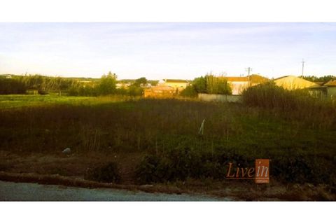 Helårsgrund i Torres Vedras, Lisbon, Torres Vedras - € 165.000 | Ref: 9547LM - foto 5