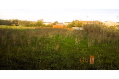 Helårsgrund i Torres Vedras, Lisbon, Torres Vedras - € 165.000 | Ref: 9547LM - foto 6