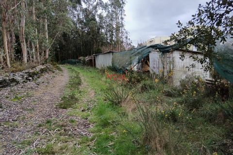 Helårsgrund i Valongo, Porto, Valongo - € 1.000.000 | Ref: NOVA-ER-2207 - foto 12