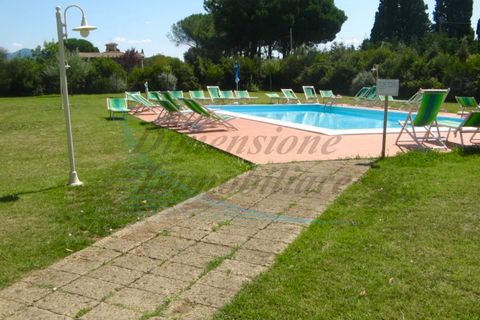 Lejlighed i Rosignano Marittimo, Livorno, Rosignano Marittimo - € 195.000 | Ref: C953 - foto 33
