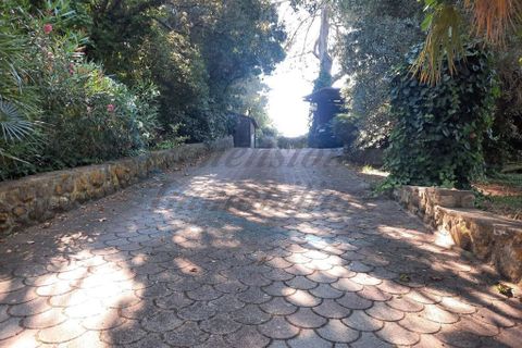 Villa a Rosignano Marittimo, Livorno, Rosignano Marittimo - € 370.000 | Ref: C918 - foto 32