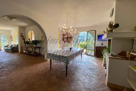 Villa i Riparbella, Pisa, Riparbella - € 980.000 | Ref: C827 - foto 17