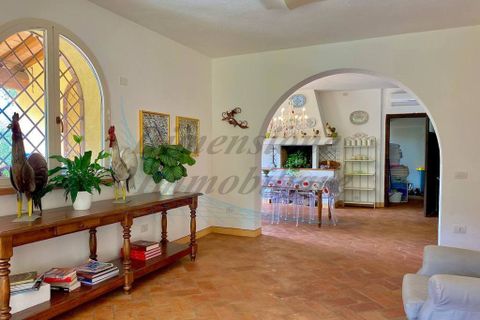 Villa i Riparbella, Pisa, Riparbella - € 980.000 | Ref: C827 - foto 18
