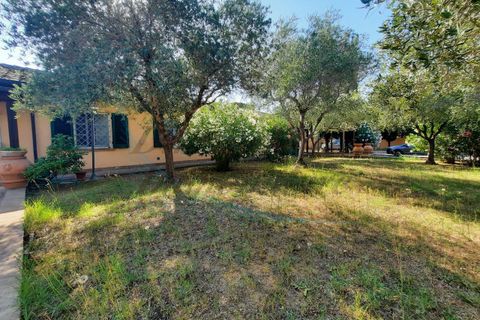 Villa i Cecina, Livorno, Cecina - € 800.000 | Ref: C922 - foto 33
