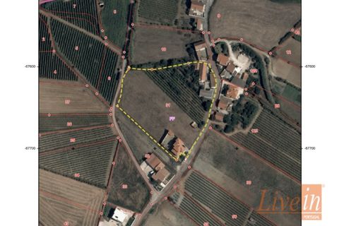 Helårsgrund i Torres Vedras, Lisbon, Torres Vedras - € 235.000 | Ref: 9413JO - foto 2