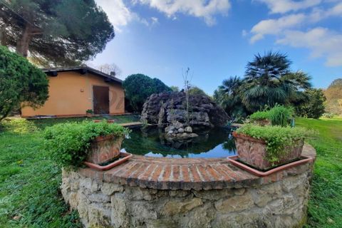 Villa i Bibbona, Livorno, Bibbona - € 590.000 | Ref: C928 - foto 2