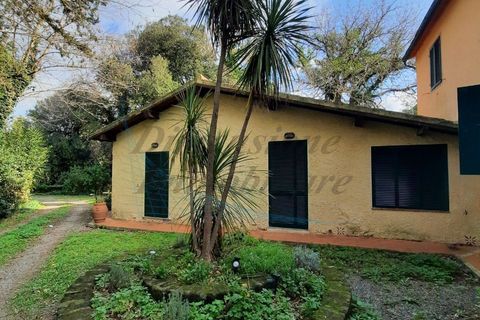 Villa i Bibbona, Livorno, Bibbona - € 590.000 | Ref: C928 - foto 4