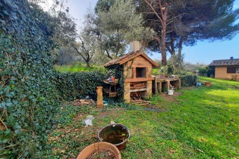 Villa i Bibbona, Livorno, Bibbona - € 590.000 | Ref: C928 - foto 5