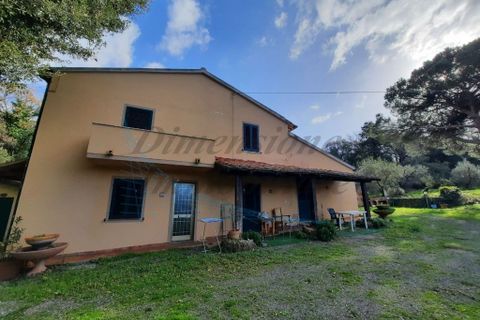 Villa i Bibbona, Livorno, Bibbona - € 590.000 | Ref: C928 - foto 6