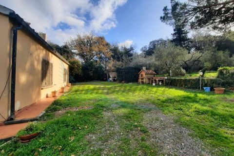 Villa i Bibbona, Livorno, Bibbona - € 590.000 | Ref: C928 - foto 7