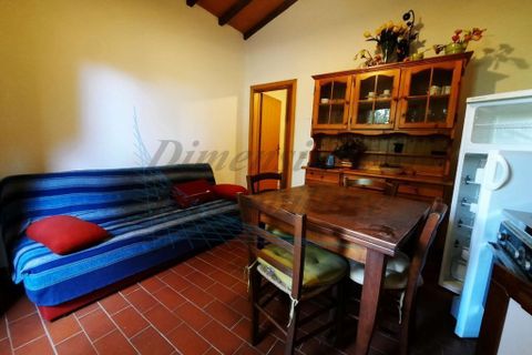 Villa i Bibbona, Livorno, Bibbona - € 590.000 | Ref: C928 - foto 8