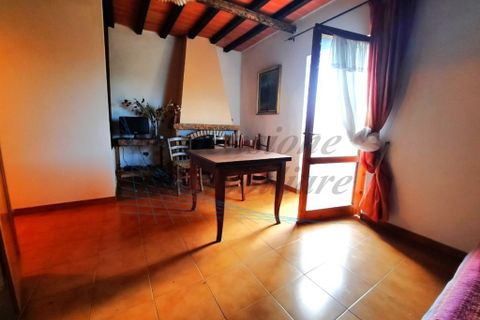 Villa i Bibbona, Livorno, Bibbona - € 590.000 | Ref: C928 - foto 10