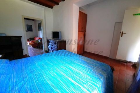 Villa i Bibbona, Livorno, Bibbona - € 590.000 | Ref: C928 - foto 14