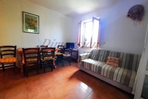Villa i Bibbona, Livorno, Bibbona - € 590.000 | Ref: C928 - foto 17