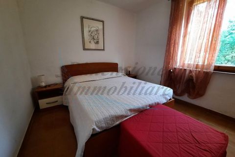 Villa i Bibbona, Livorno, Bibbona - € 590.000 | Ref: C928 - foto 19