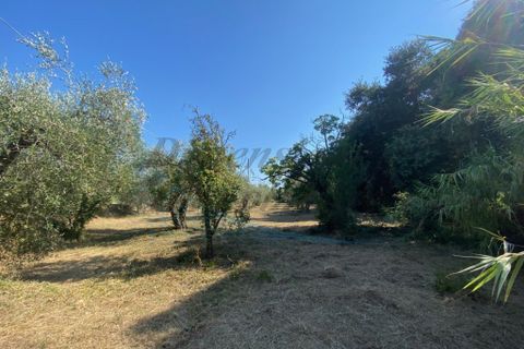 Byhus i Rosignano Marittimo, Livorno, Rosignano Marittimo - € 230.000 | Ref: 1715 - foto 2